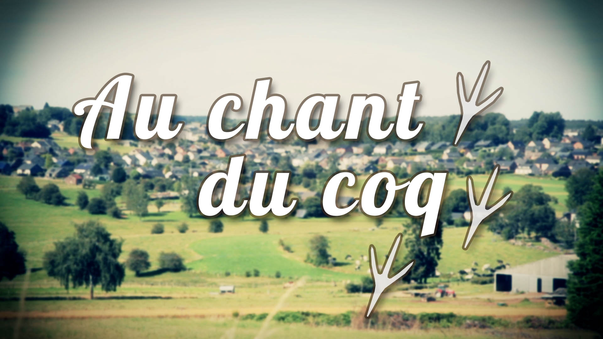 Au chant du coq - émission tv lux replay