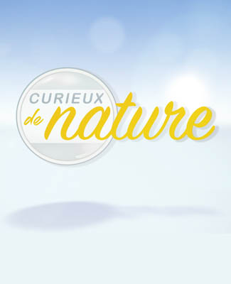 TV Lux Replay - Emission Curieux de Nature