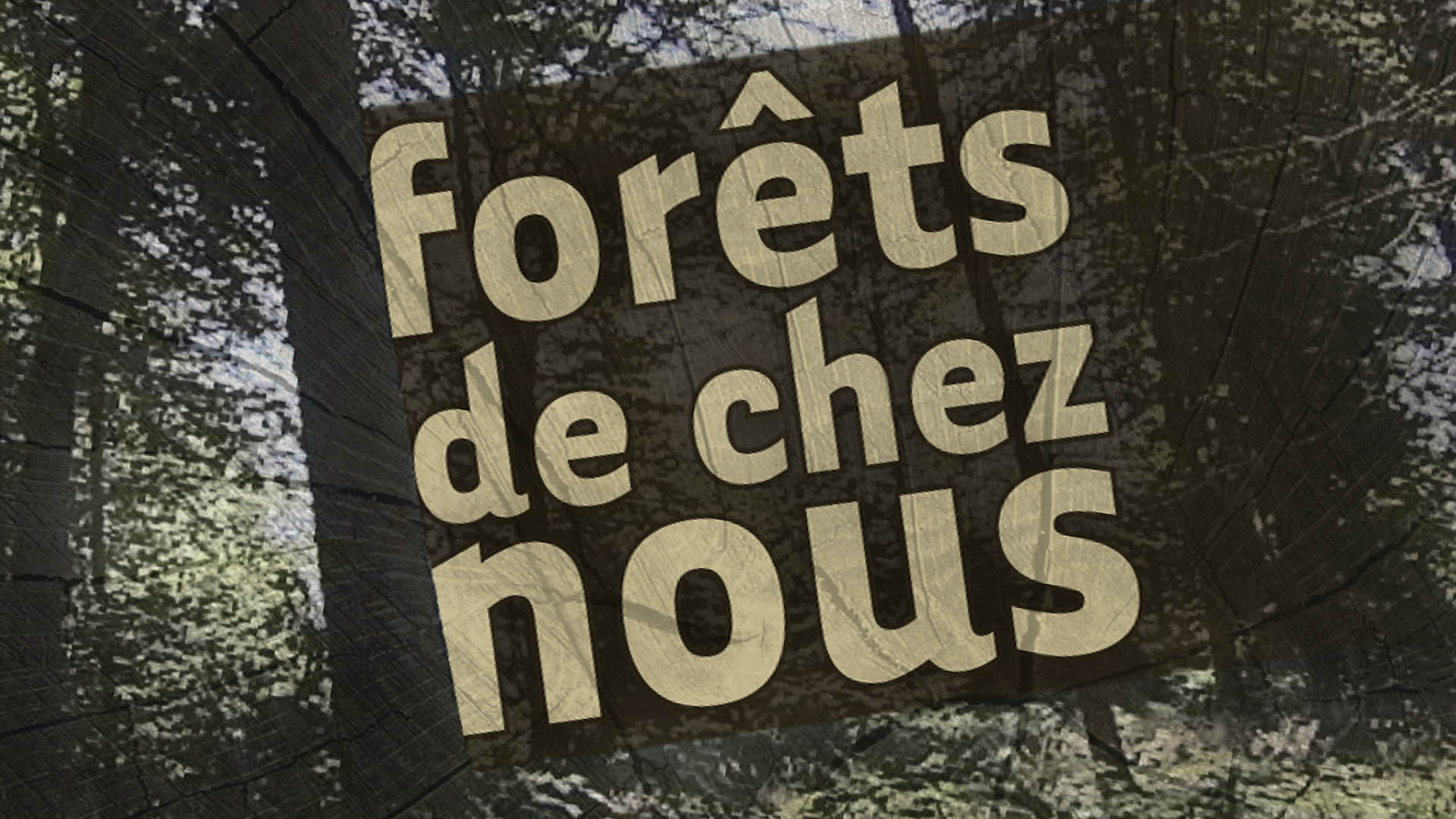 Forêts de chez nous - émission tv lux replay