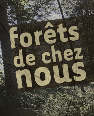 TV Lux Replay - Emission Forêts de chez nous