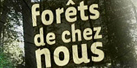 Forêts de chez nous : Emission 2 - La circulation en forêt