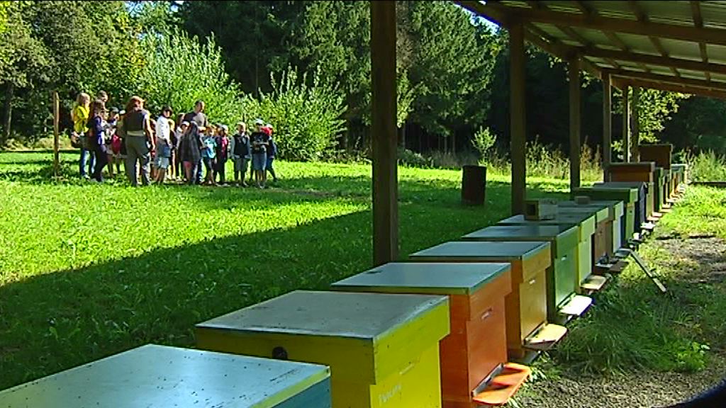 Parcours du miel à Saint-Léger