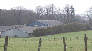 Neufchâteau : Polémique autour d'une porcherie de 5400 bêtes