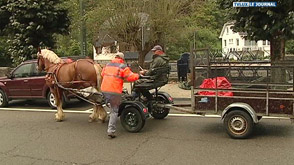 Le cheval de trait au service de la gestion forestière et rurale durable