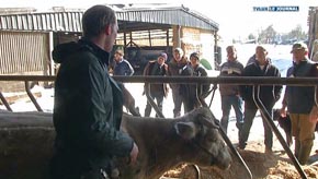 Werbomont : formation pour remplaçants agricoles