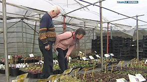 Saint-Médard : Journée horti découverte