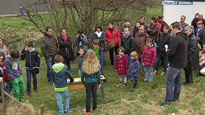 Tenneville : Ardenne en fête