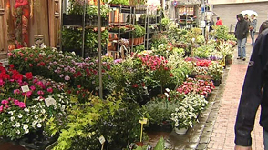 Marche : marché aux fleur de la Pentecôte