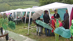 Mussy : élevage de criquets