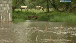 La qualité des eaux de baignade mise en cause