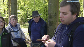 Neufchâteau : Balade nature à Grapfontaine