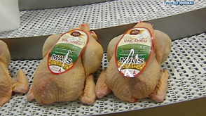 Bertrix : Coq de Cristal pour Ardenne Volaille