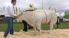 Les incontournables de la foire