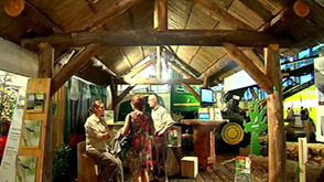 L'arbre au coeur de la foire 2013