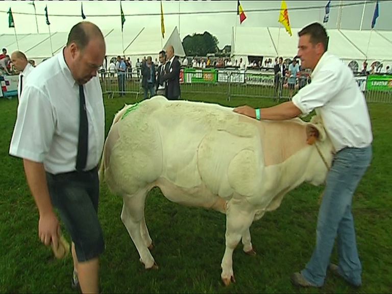 Foire 2013: concours Blanc Bleu Belge
