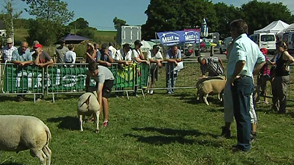 Etalle : fête du mouton