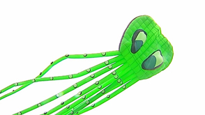 Vaux-sur-Sûre : festival du cerf-volant à Sibret