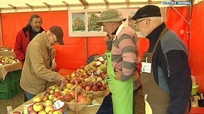 Rachecourt dans les pommes