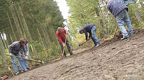 Vielsalm : restauration du chemin du Bonalfa 
