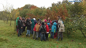 Tronquoy (Neufchâteau) : visite du verger pédagogique 
