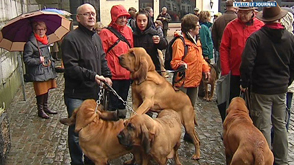 St-Hubert, bénédiction des animaux
