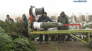 Mon Idée (Neufchâteau) : le marché 2013 du sapin de Noël