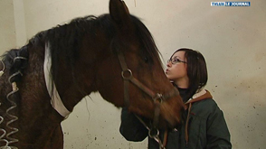Des chevaux victimes de la myopathie atypique