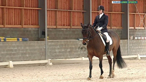 Challenge Dressage Place à Hatrival