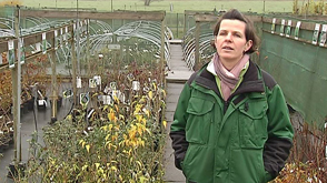 La Jardinerie du Magenot