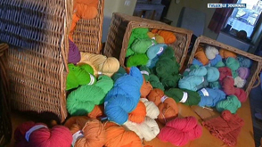 Le Luxembourg a sa filière laine 