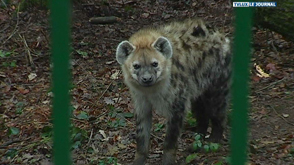 Bouillon : sécurité à la Crête des Cerfs
