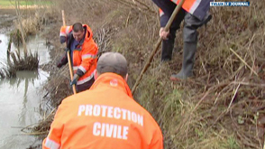 Hachy : destruction de barrages de castors 