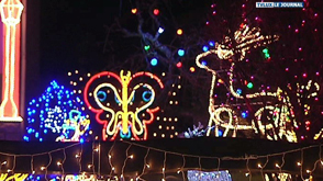 Illuminations : ces passionnés de lumières