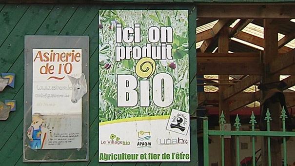 Habay  : paniers de légumes et de fruits de lAsinerie de lÔ