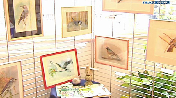 Libramont : expo oiseaux