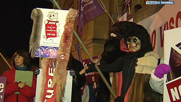 Virton : manifestation contre l'élevage de visons