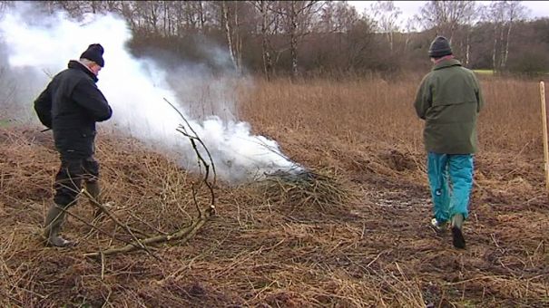 Attert : réserve naturelle à Grendel