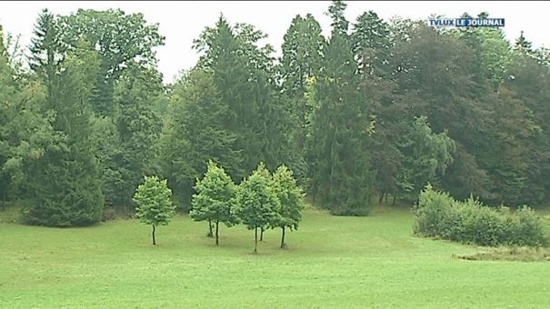 Un golf au  Domaine du Bois d'Arlon ?