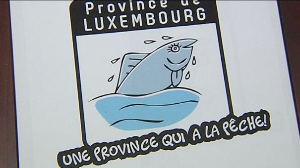 Province: le nouveau logo en exclusivité