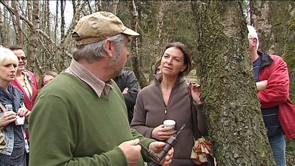 Vielsalm : cure de bouleau à Bihain