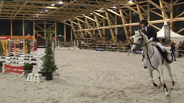 Marche: le salon du cheval a accueilli 20.000 visiteurs