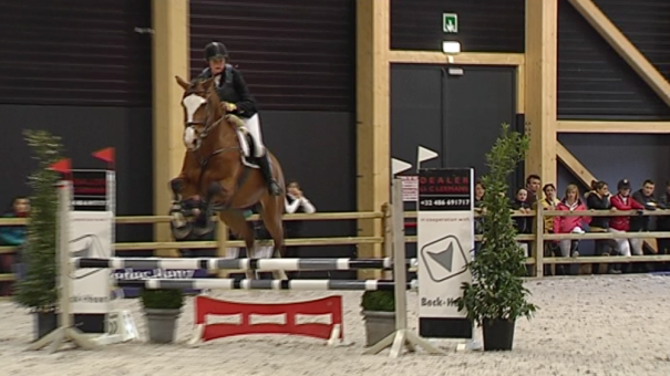 Le salon du cheval au Wex