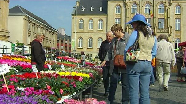 Arlon: 1er marché horticole 