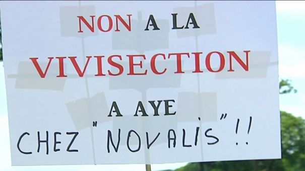 Marche. Manifestation contre les tests animaux au CER.