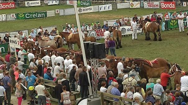 Alexandre Devolf évoque la 80ème Foire de Libramont 