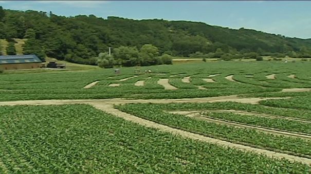 Barvaux : des extraterrestres au Labyrinthe