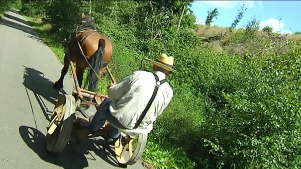 Houffalize. Le cheval entretient le Ravel