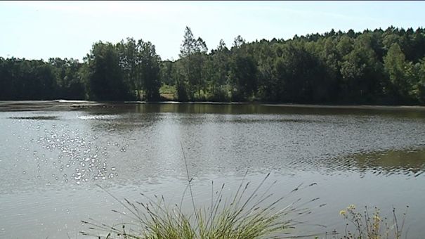 Stockem (Arlon): renaissance des étangs 