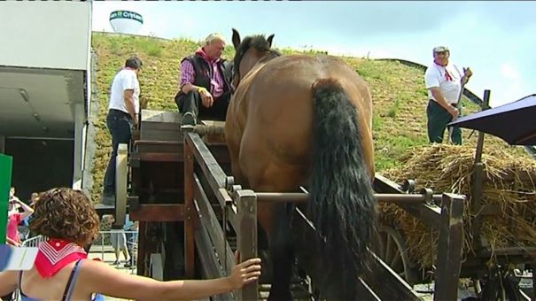 Vieille batteuse retapée