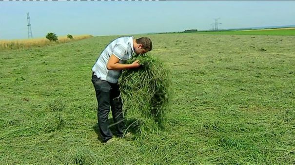 Tendre vers l'autonomie fourragère